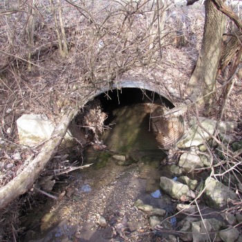 SR 202 Culvert Replacement