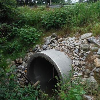 SR 202 Culvert Replacement