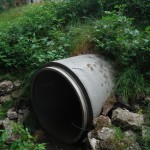 SR 202 Culvert Replacement