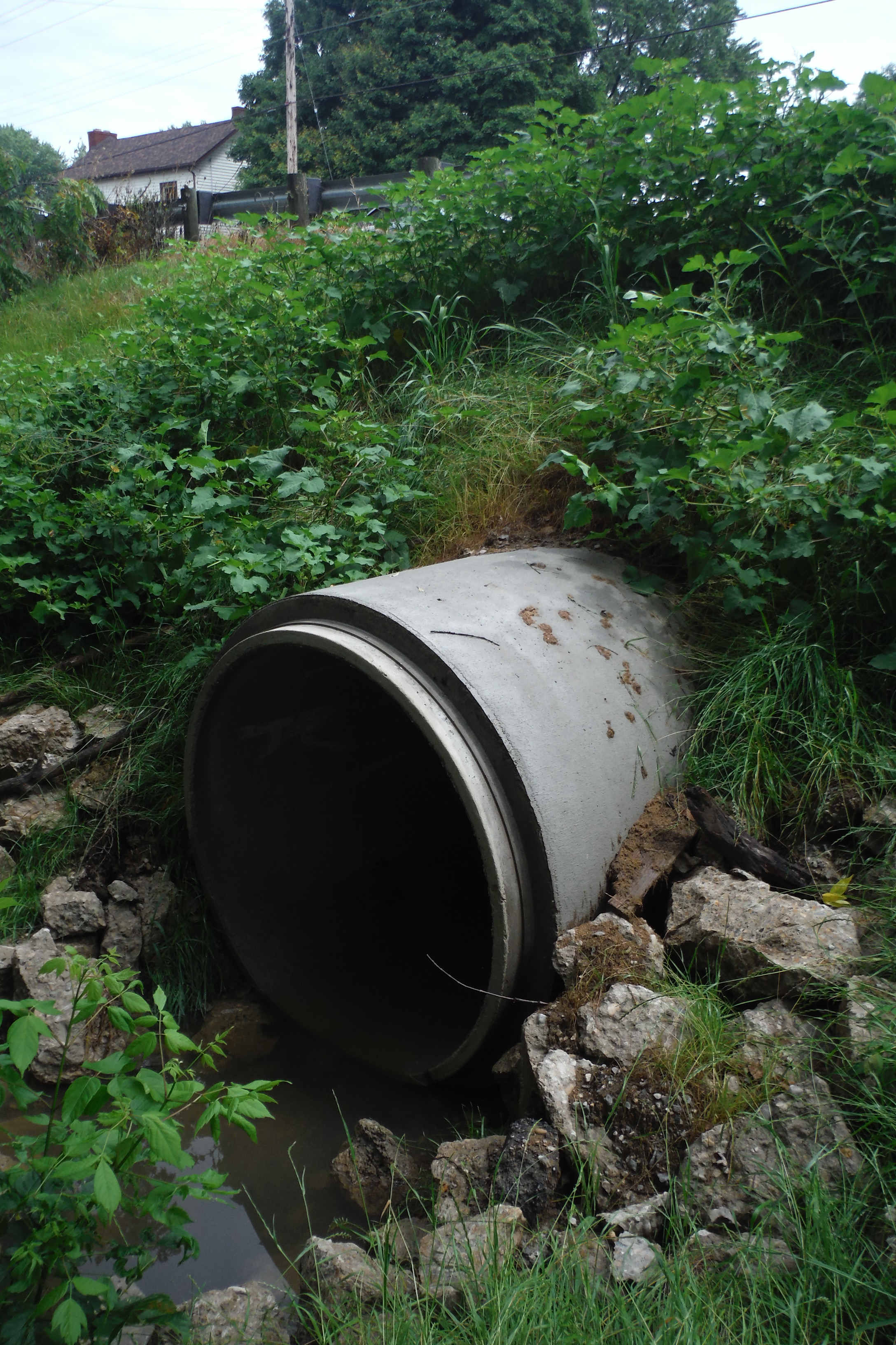 SR 202 Culvert Replacement