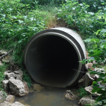 SR 202 Culvert Replacement